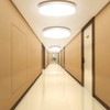Ouyulong LED Ceiling Light