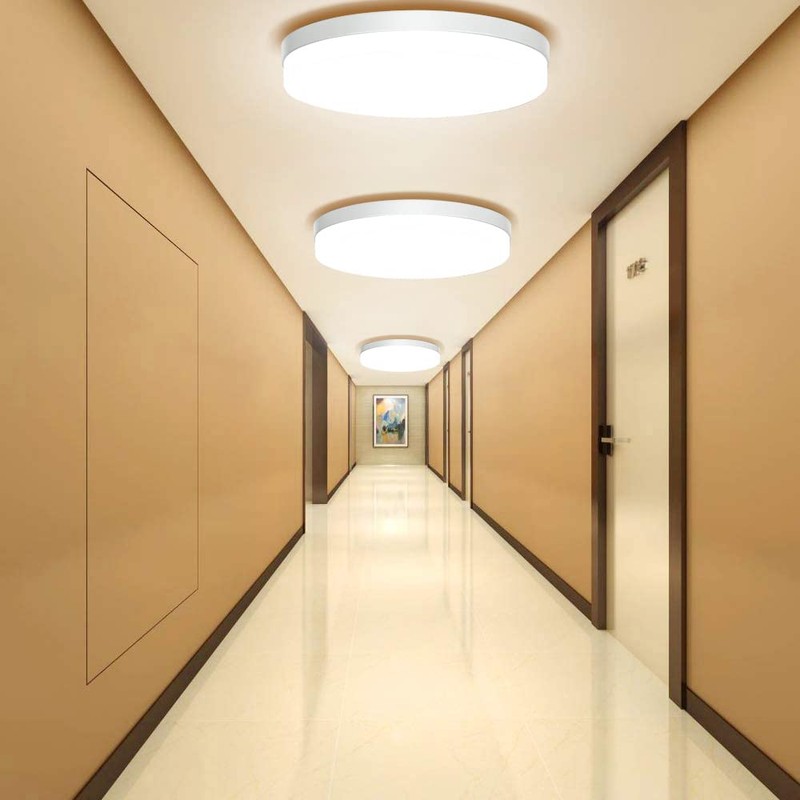 Ouyulong LED Ceiling Light