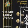 Framus Phosphor Bronze Acoustic Guitar Strings 12 String .010-.047