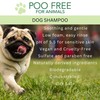 POO FREE - Shampoo for Smelly Dogs - 99% Natural