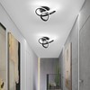 EIDISUNY LED Ceiling Light Dimmable, Modern LED Ceiling Lamp with