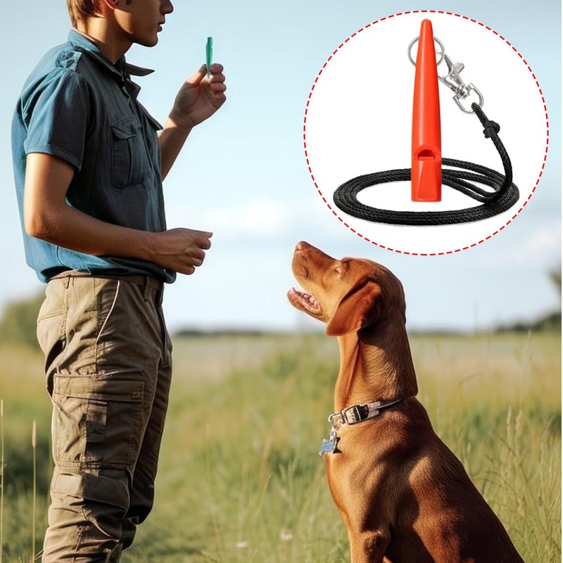 1 pcs 211.5 Dog Whistle Orange with Whistle Band