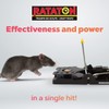 Rataton Traditional Mousetrap Indoor and Outdoor use Kills Immediately Without