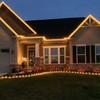 Novelty Lights 25FT C9 LED Transparent Plastic Christmas Lights (25