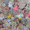 Acrylic Beads Mix(16mm)-Beading making-Bead Assortmens-DIY:_Snowflake_150ml