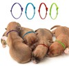 FDGGT 12-Piece Pet Identification Rings and 12-Piece Pet Collars, Puppy