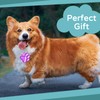 Pet Tag Resin Mold, Collar Tags Dog Bone Dog Paw
