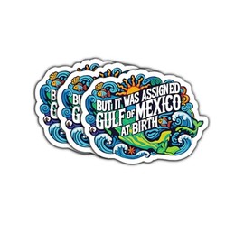 (3 Psc) But It was Assigned Gulf of Mexico at Birth Sticker - Anti President Sticker - Anti MAGA - Political Progressive - Pro-Democracy Decal - Decal 3 Inch for Laptop Water Bottles