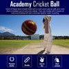 Splay Academy Red Cricket Ball Senior Adult Balls Leather Club