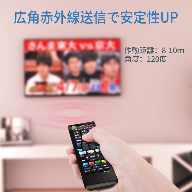 Sony Bravia TV Remote Control [Set] Compatible with Sony Models