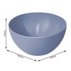 Rotho Caruba Bowl