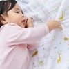 aden + anais Eiden and Anais Year of Snake Swaddle,