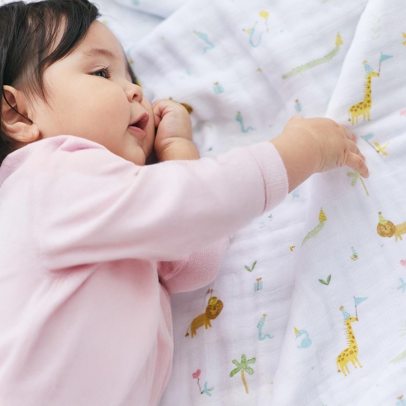 aden + anais Eiden and Anais Year of Snake Swaddle,