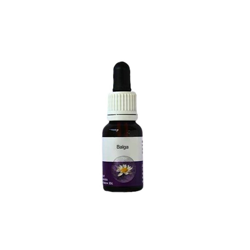 Living Essences Balga (Blackboy) 100ml