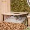Niteangel Animal Sand-Bath Box: - Acrylic Critter's Sand Bath Shower