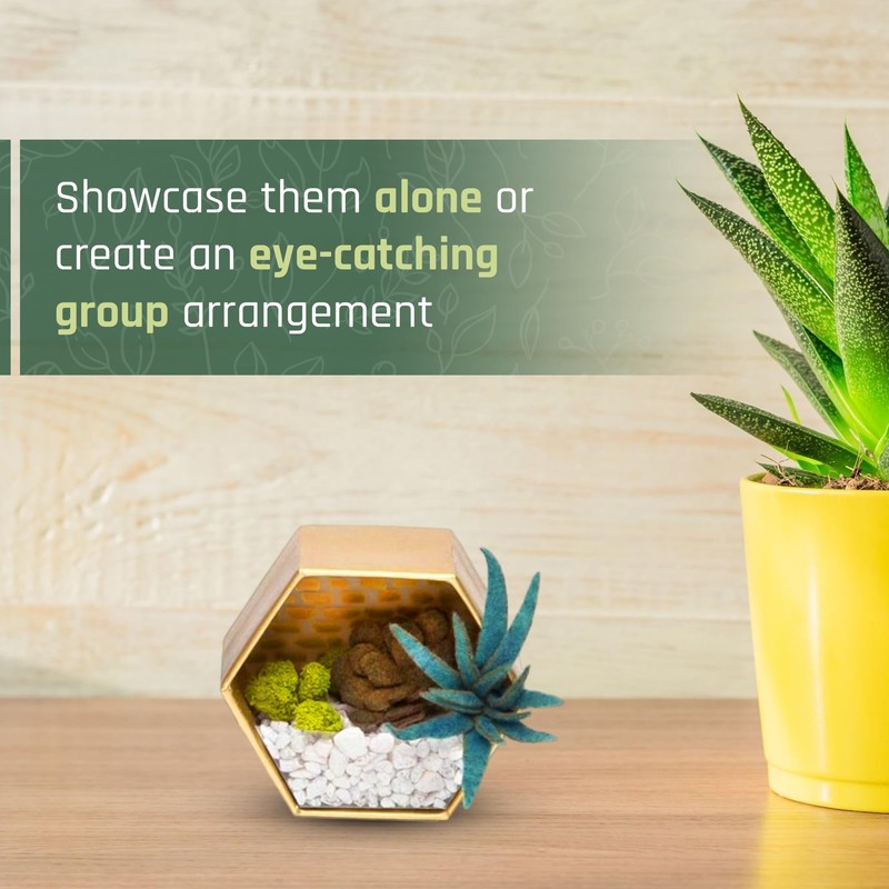 Craft Crush — Mini Plants Terrariums Easy Fun Arts and