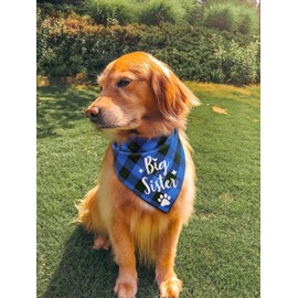 YHTWIN Big Brother Blue Plaid Dog Scarf, Announcement Dog Bandanas Scarf, Pet Ornament, Gender Revealing Photo Prop, Dog Lover's Owner Gift