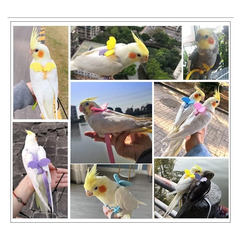 Parrot Harness and Leash Set,Bird Harness for Parrot,Pet Parrot Bird