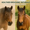 Freestep RespriFree – Respiratory Support Supplement for Horses Prone to