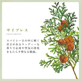 NATURELLE Cypress Essential Oil 0.3 fl oz (10 ml)