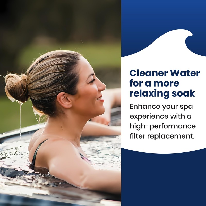 Sundance Spa Filter OEM 6540-488