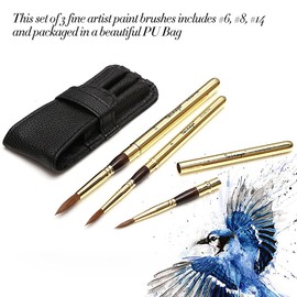 Dainayw Travel Watercolor Brushes, 3 Pcs Kolinsky Sable Hair Artist Paint Brush for Watercolor Ink Gouache Painting with PU Bag