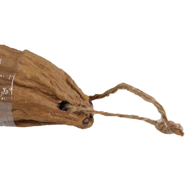 Penn-Plax Kapok Pod for Birds and Small Animals – Meets