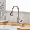 Bathfinesse Kitchen Sink Faucet Brushed Nickel with Pull Down Sprayer