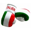 Doktor Hardstuff Mini Boxing Gloves - Italy