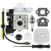 PB-250 Carburetor Leaf Blower for Echo PB250LN PB250 ES250 Blower