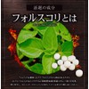 フォルスコリ 約５ヶ月分