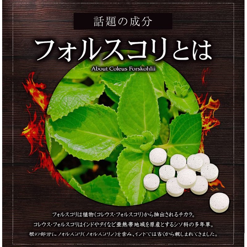 フォルスコリ 約５ヶ月分