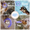 APAWLO Pets Active Ring Dog Toy for Fetch, Tug &