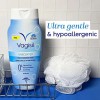 Vagisil Feminine Wash, Intimate Area Hygiene Unscented 12oz