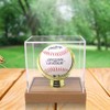 Gold Glove Baseball Display Case Holder by Display Zone –
