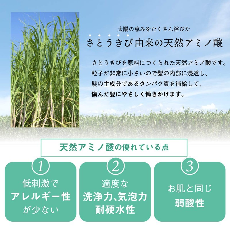 Professional Amino Seaweed Hair Pack 800g