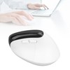 Bluetooth Wireless Mouse 4000DPI Ergonomic Design Reduce Muscle Strain Vertical