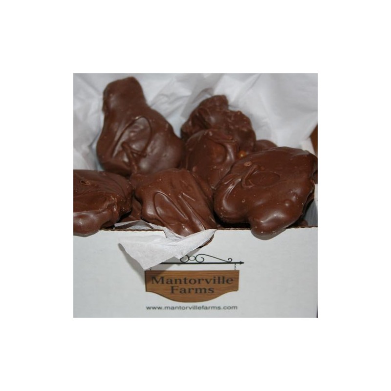 Chocolate Covered Caramel Nut Clusters (No-Melt Guarantee) (Milk Chocolate, One