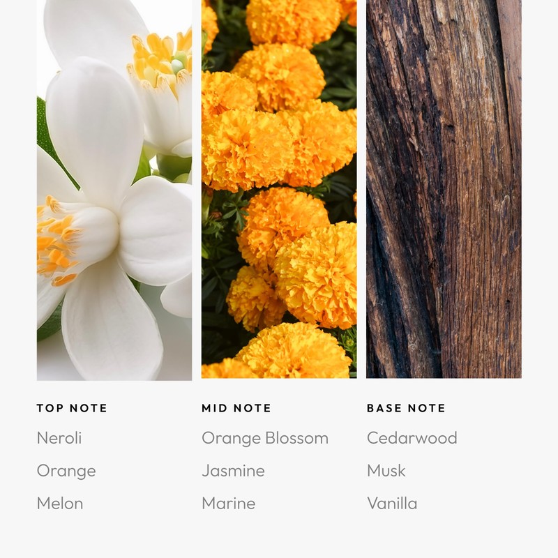 Aroma360 Fragrance Diffuser Oil - Luxury Hotel Inspired - Skyfall