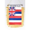 Flagline Hawaii - Window Hanging Flag