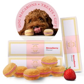 Bonne et Filou Dog Birthday Treats Gift Strawberry Flav Dog Macaron Cakes Gourmet Dog Treats Healthy and Delicious Snacks for Small to Large Dogs All Natural Macaron Dog Cakes 18 Count