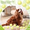 Suilung 24 Pcs Squeaky Dog Balls Latex Rubber Squeaky Dog