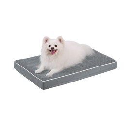 KSIIA Orthopaedic Dog Bed for Small Dogs, Dog Cushion 58 x 43 x 7 cm, Washable Dog Mat, Removable Dog Mattress, Dark Grey