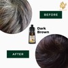 WiseStrand KKM Approved WiseStrand Natural Hair Dye Colour Shampoo |