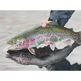 Hi-Look Microfiber Cleaning Cloth - Rainbow Trout