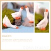 BEOSOFLOY Mini Goose Figurine 6pcs Resin Swan Figurines Micro Moss