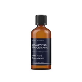 Mystic Moments Eucalyptus staigeriana ätherisches Öl-100ml-100% rein, 100 ml