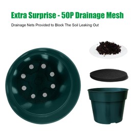RooTrimmer 50 Pack 6 Inch Nursery Pots, Planting Grow Plastic Flower Pots, Thick Planters with Drainage Holes for Outdoor/Indoor Plants Succulent Herb (Green)