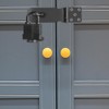 Stainless Steel Deadbolt Lock Hasp with Padlock & Screws, 5