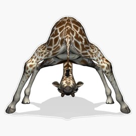 Evan Decals Childish Giraffe Sticker Vinyl Bumper Sticker Decal Waterproof 5 Inch, EVAN-YOGA-STICKERS-1019